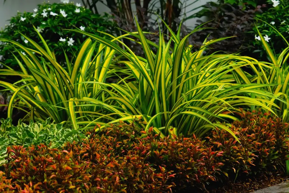 Greens & Outdoors at TATA SWARAM PHASE 2, Shettigere, Bangalore