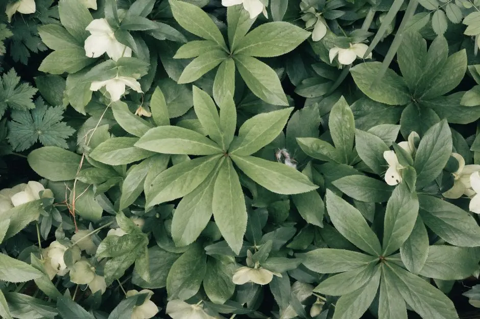 Greens & Outdoors at TATA EDEN COURT II, New Town, Kolkata