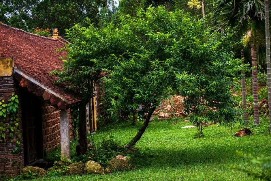 Greens & Outdoors at TATA THE PROMONT PHASE II, Hosakerehalli, Bangalore