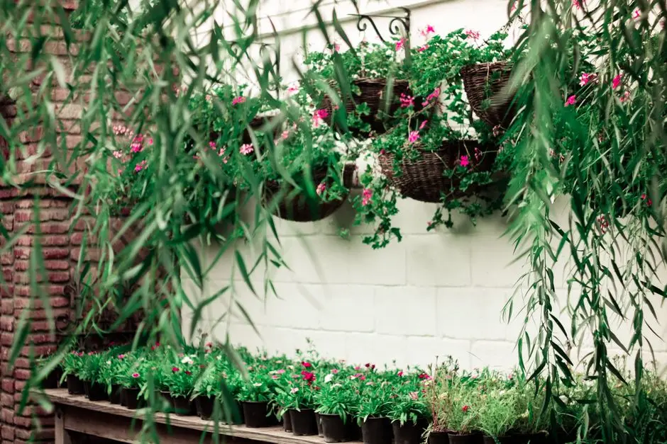 Greens & Outdoors at TATA RAISINA RESIDENCY, Sector 59, Gurgaon