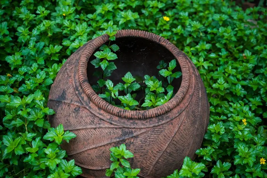 Greens & Outdoors at TATA THE CASCADES, Banashankari, Bangalore
