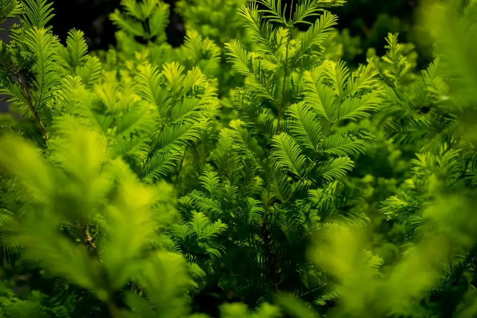 Greens & Outdoors at TATA VARNAM, Shettigere, Bangalore