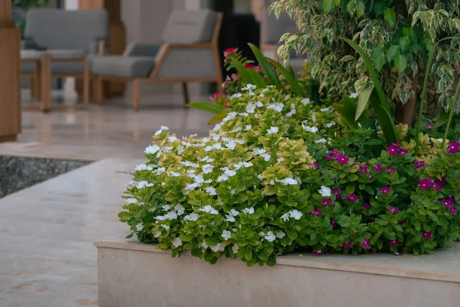 Greens & Outdoors at TATA NOIDA EXPRESSWAY, Noida